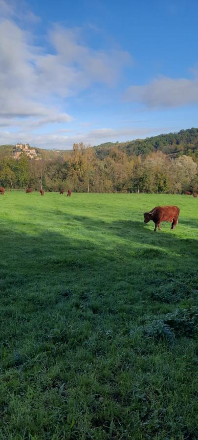 Le Cocon Beaujolais Villa Chatillon  Exterior foto
